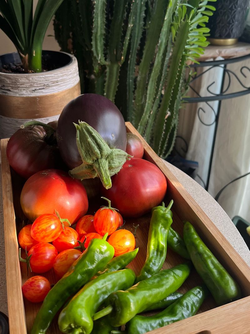 Pick Every Pepper And Eggplant Pick Every Pepper And Eggplant