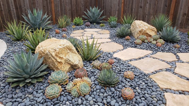 Pick Fire-Wise Plants For Your Garden Pick Fire-Wise Plants For Your Garden