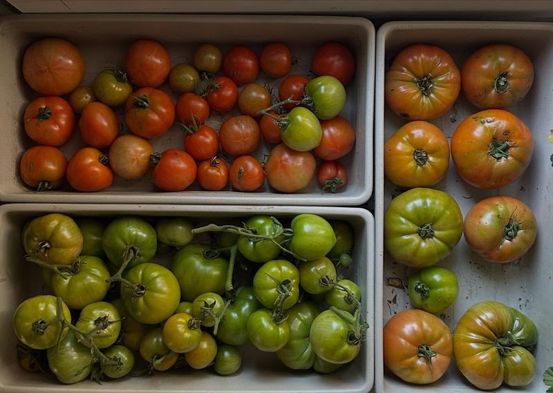 Pick Individual Fruit When Space Is Limited