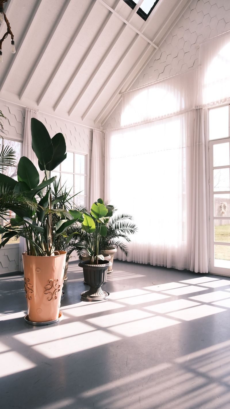 Pick The Brightest Indoor Spot For Winter Pick The Brightest Indoor Spot For Winter