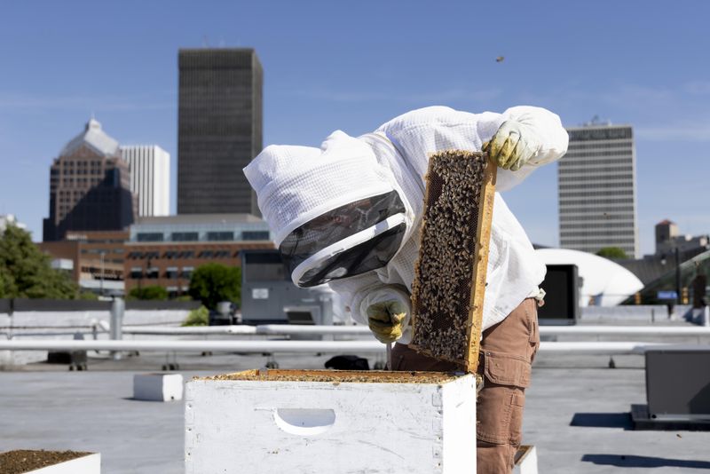 Picking A Safe Rooftop And Getting Permission
