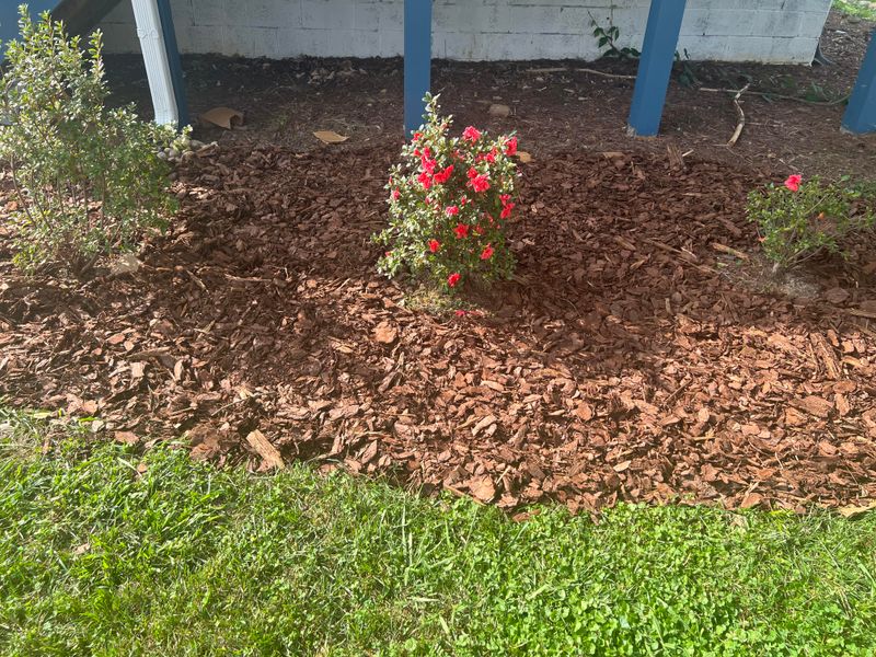 Pine Bark Suits Acid-Loving Rhododendrons And Azaleas