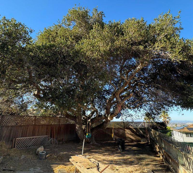 Place It Away From Pools And Patios Place It Away From Pools And Patios
