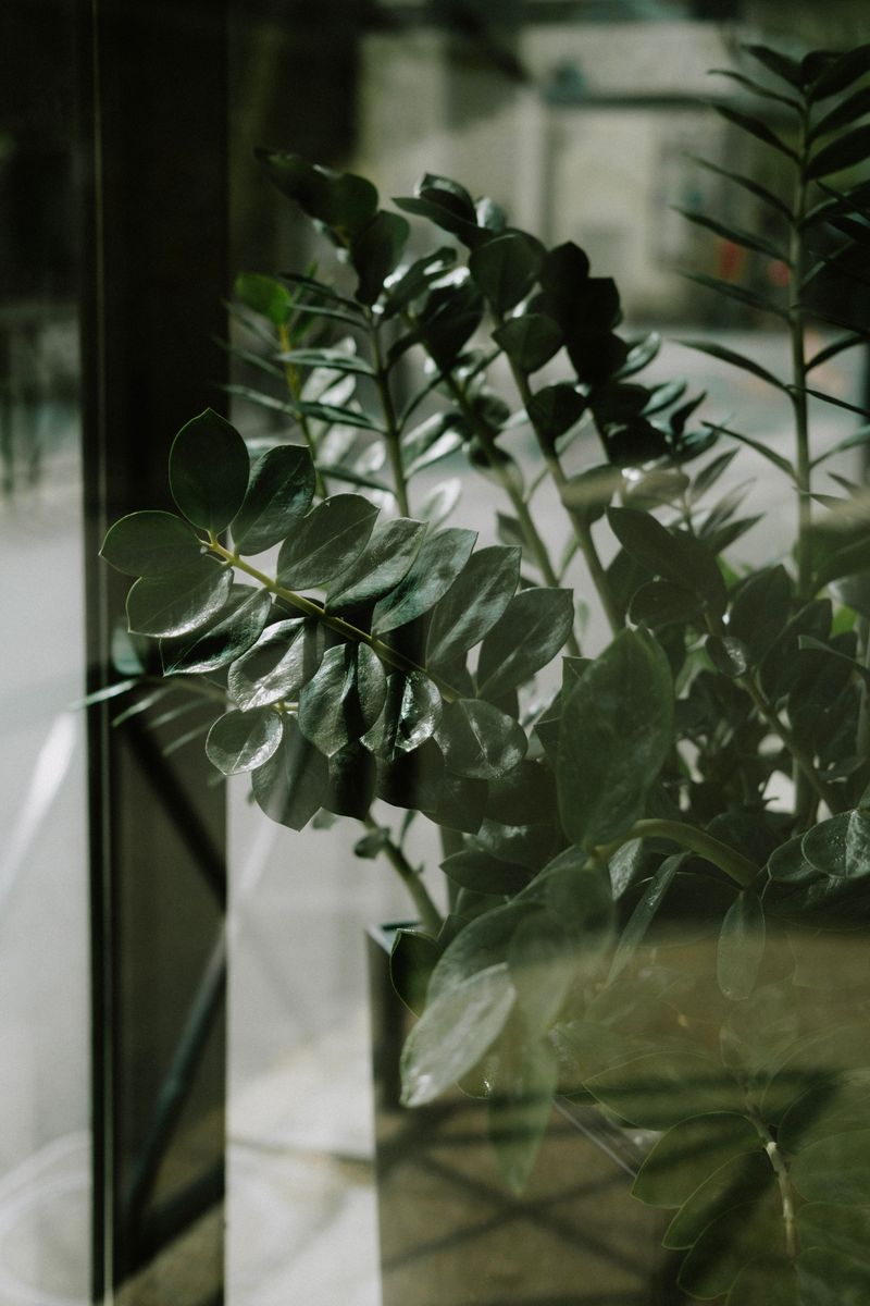 Placing It Near Cold Windows Or Drafts