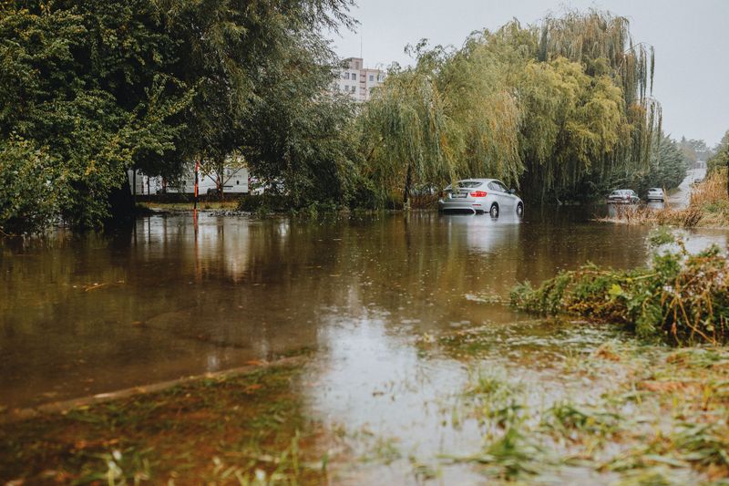 Plan For Safety During And After The Flood Plan For Safety During And After The Flood