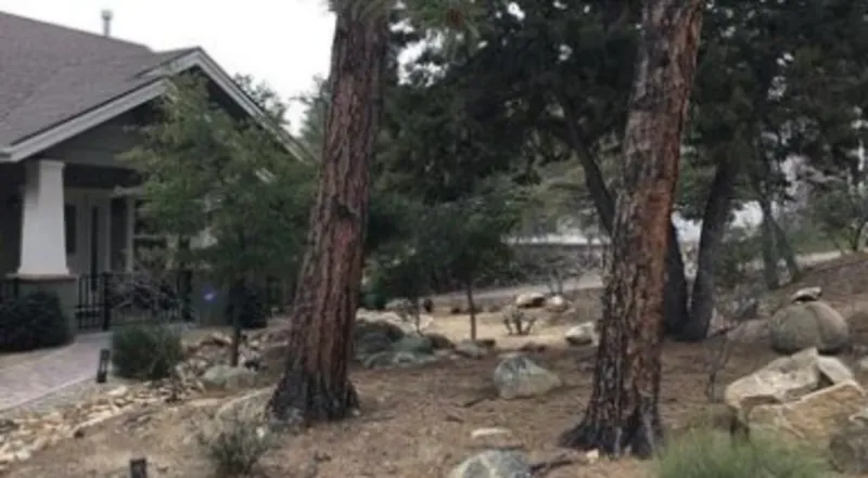 Plan for dry-grass fire risk near the home Plan for dry-grass fire risk near the home