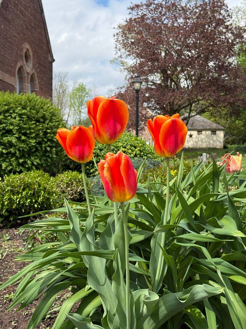Plant At The Right Time