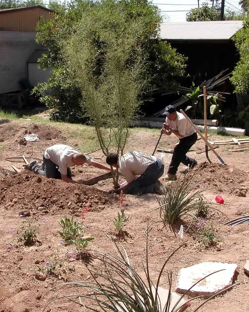 Planting time and water depend on local conditions