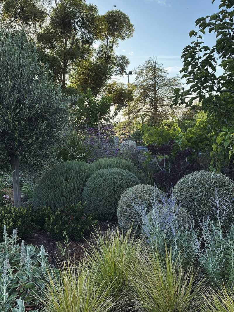Plants Set Too Far Apart Leave Room For Weeds