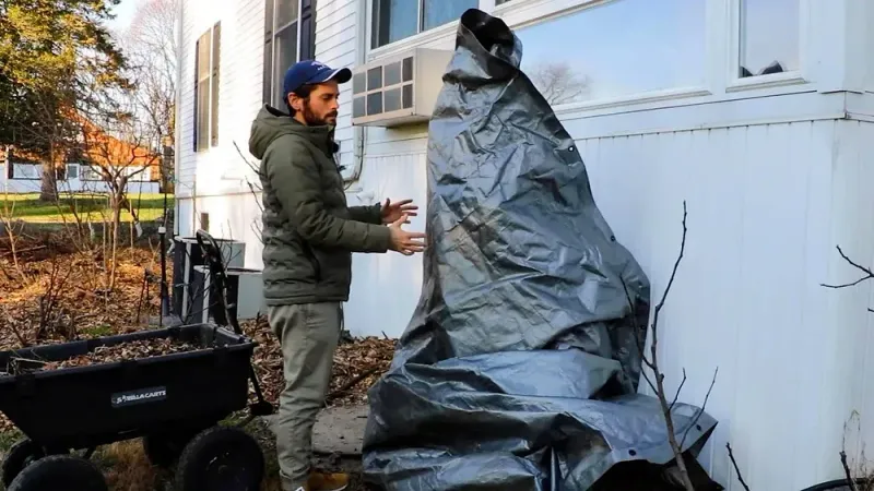 Plastic Traps Moisture Against The Branches