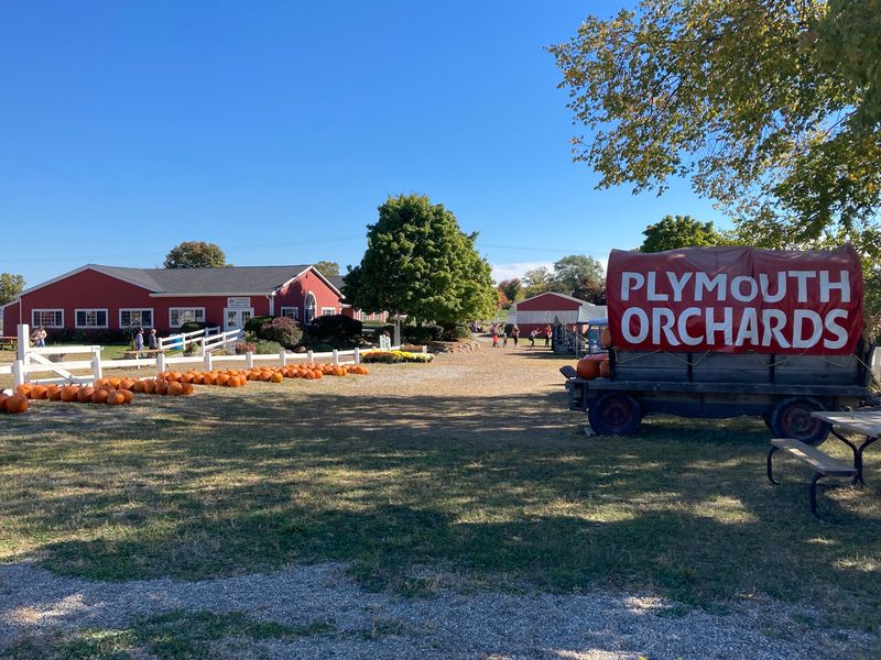 Plymouth Orchards & Cider Mill Brings Apple Season To Your Doorstep