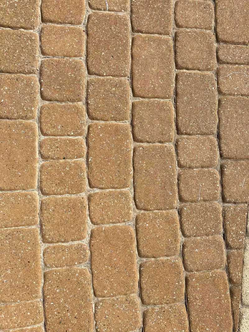 Polymeric Sand Seals The Gaps For Years