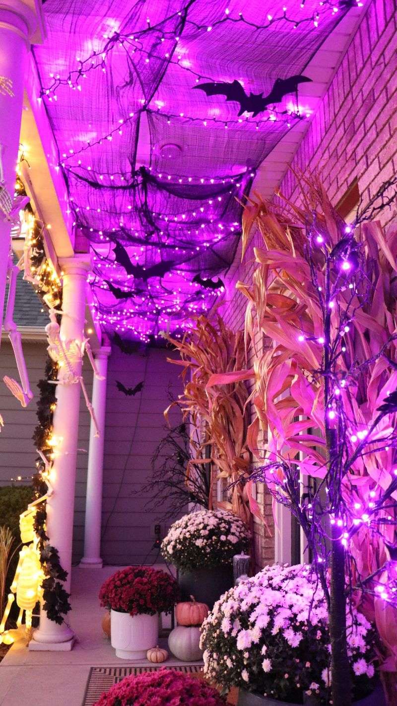 Porch Lights Draw Night Flyers Toward The Strands