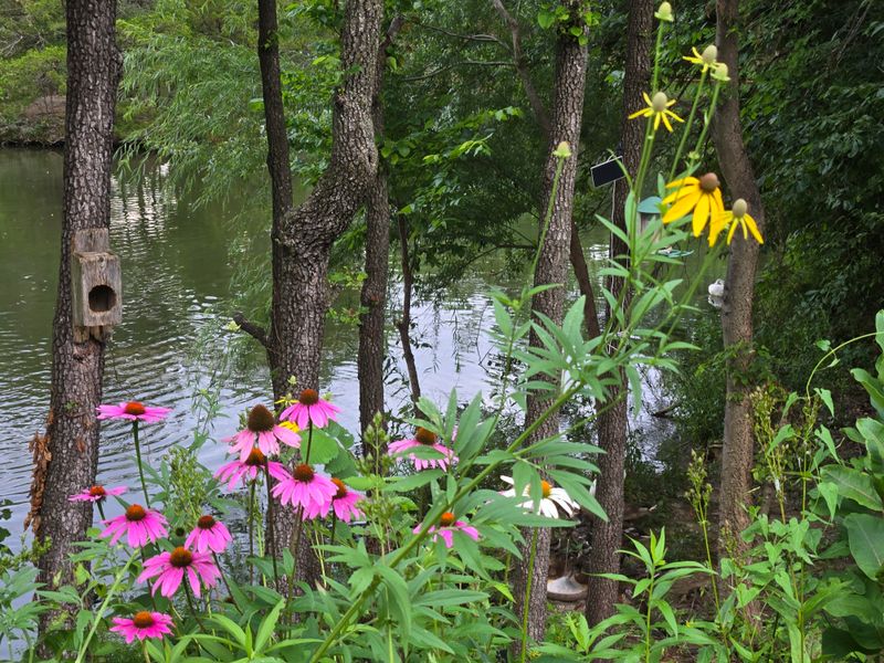 Posted Nature Study Areas Are The Exception