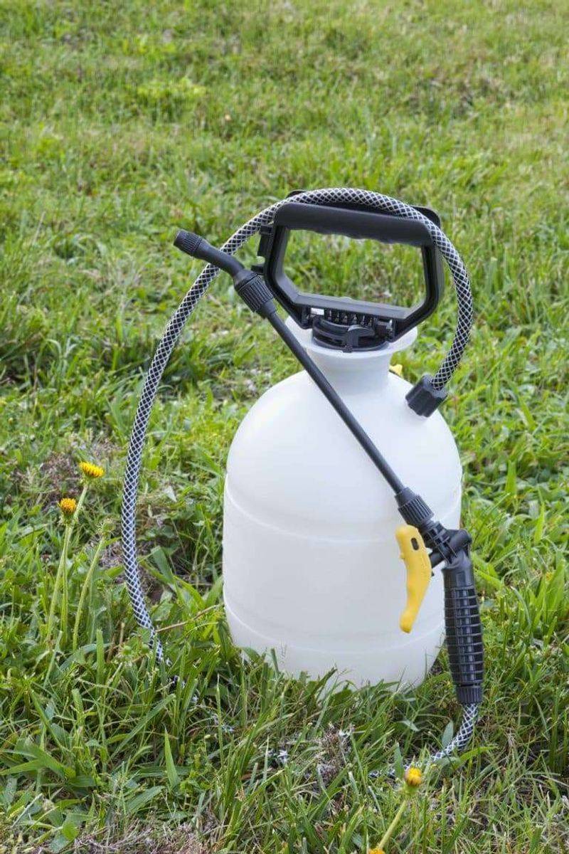 Potassium Can Support Winter Hardiness When Soil Levels Are Low Potassium Can Support Winter Hardiness When Soil Levels Are Low