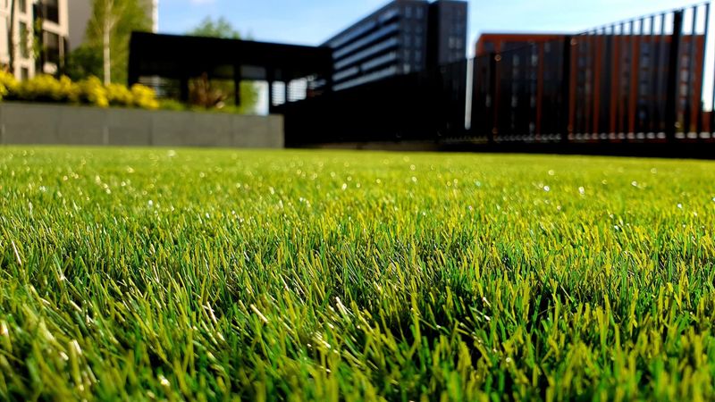 Potassium May Help Bermudagrass When The Soil Test Calls For It Potassium May Help Bermudagrass When The Soil Test Calls For It