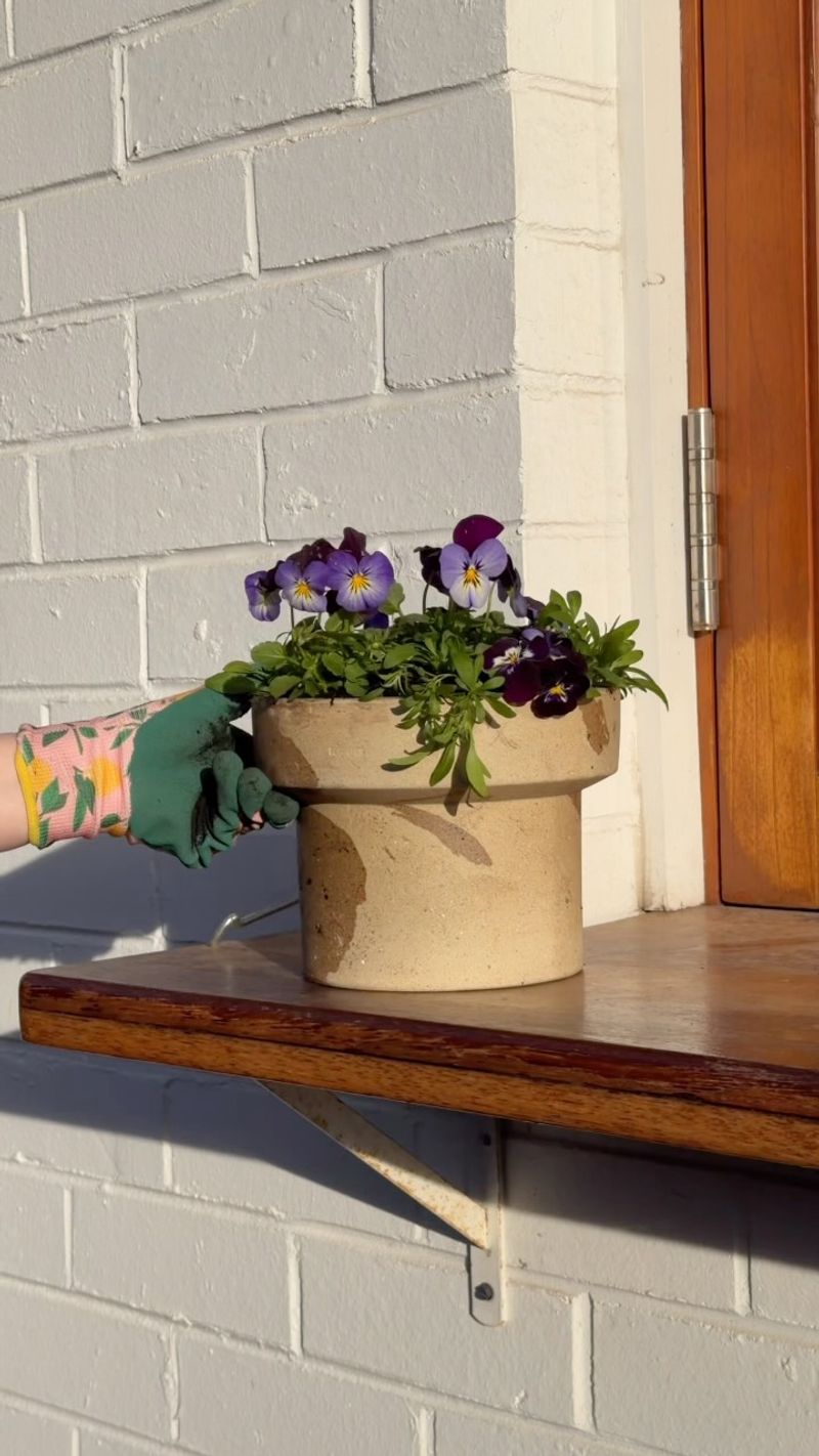 Pots Are Cut Off From The Ground's Stored Warmth