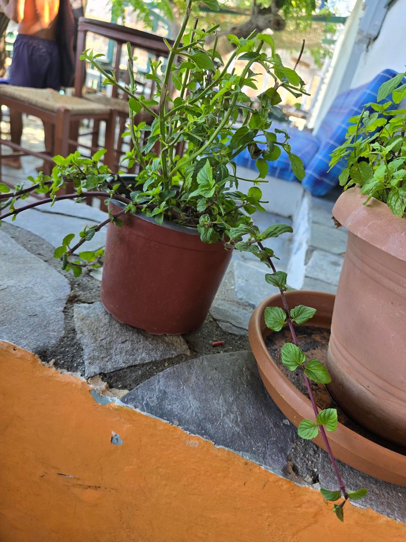 Pots Keep This Spreader In Check