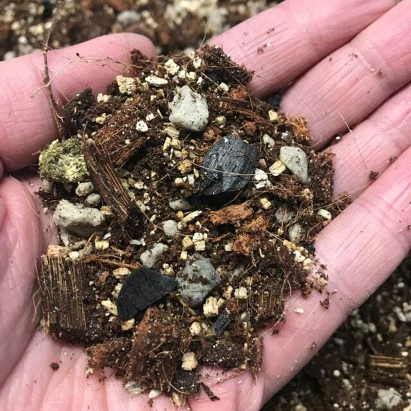Potting Mix Isn’t Actually Soil
