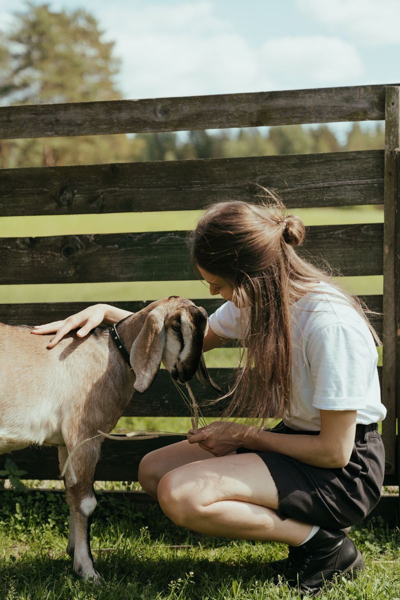 Practical Defenses For Yards, Pets, And Livestock