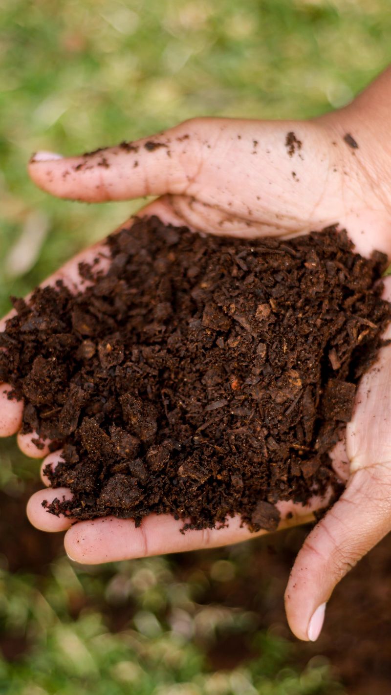 Pre-Moistened Soil Prevents Root Burn