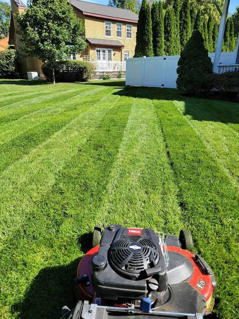 Prefer Fewer Snakes Near The Porch? Try These Gentle Fixes