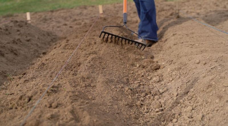 Prepare Loose, Well-Drained Soil Prepare Loose, Well-Drained Soil