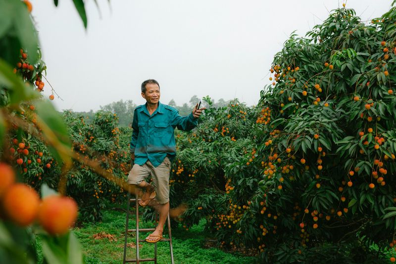 Preparing Orchards Before The Next Storm Preparing Orchards Before The Next Storm