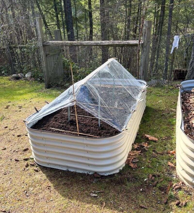 Protect Containers During Hard Freezes