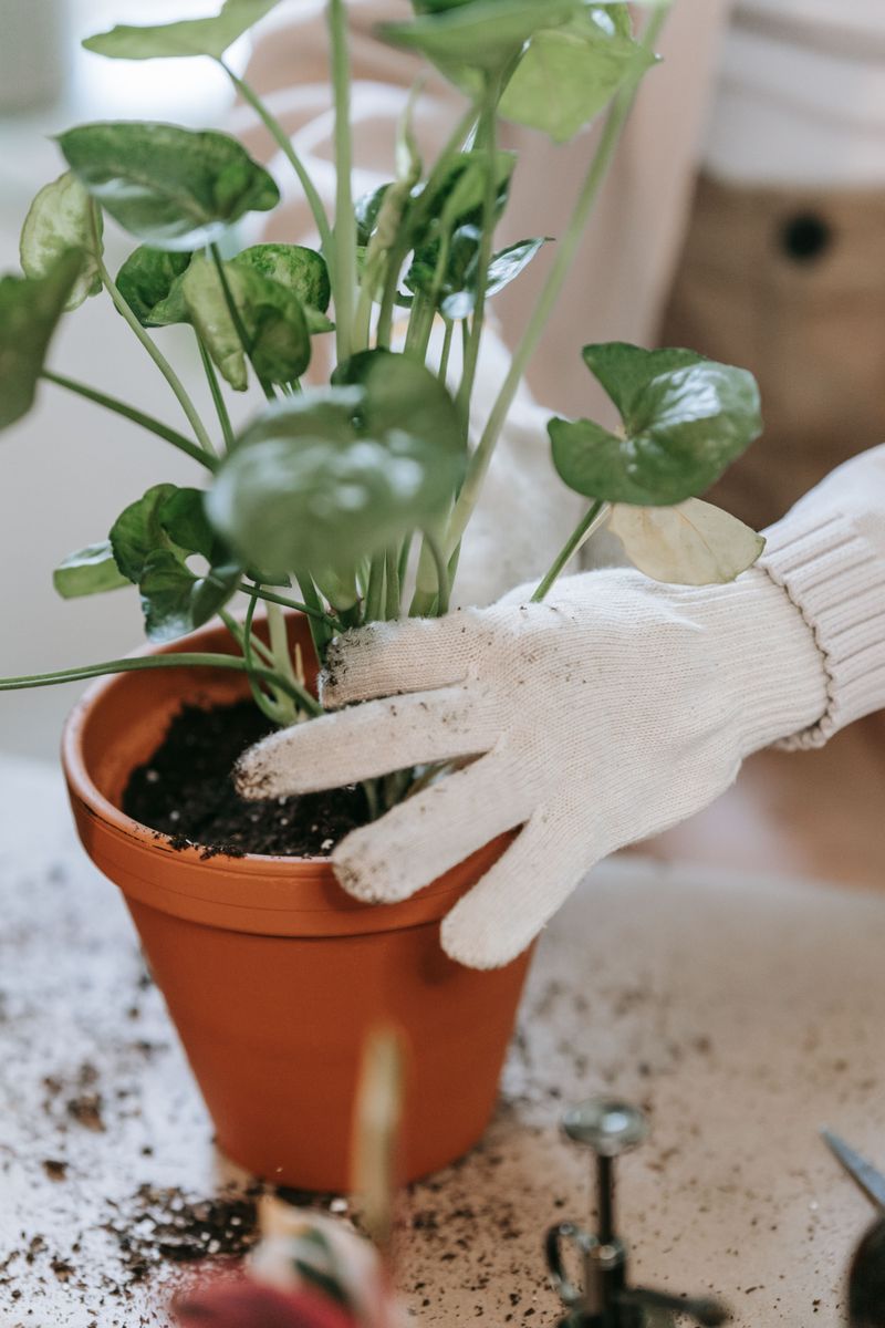 Protect Yourself Before Moving The Pot Protect Yourself Before Moving The Pot
