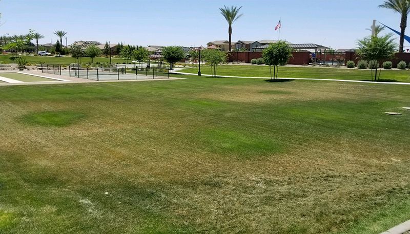 Protect bermudagrass during spring transition