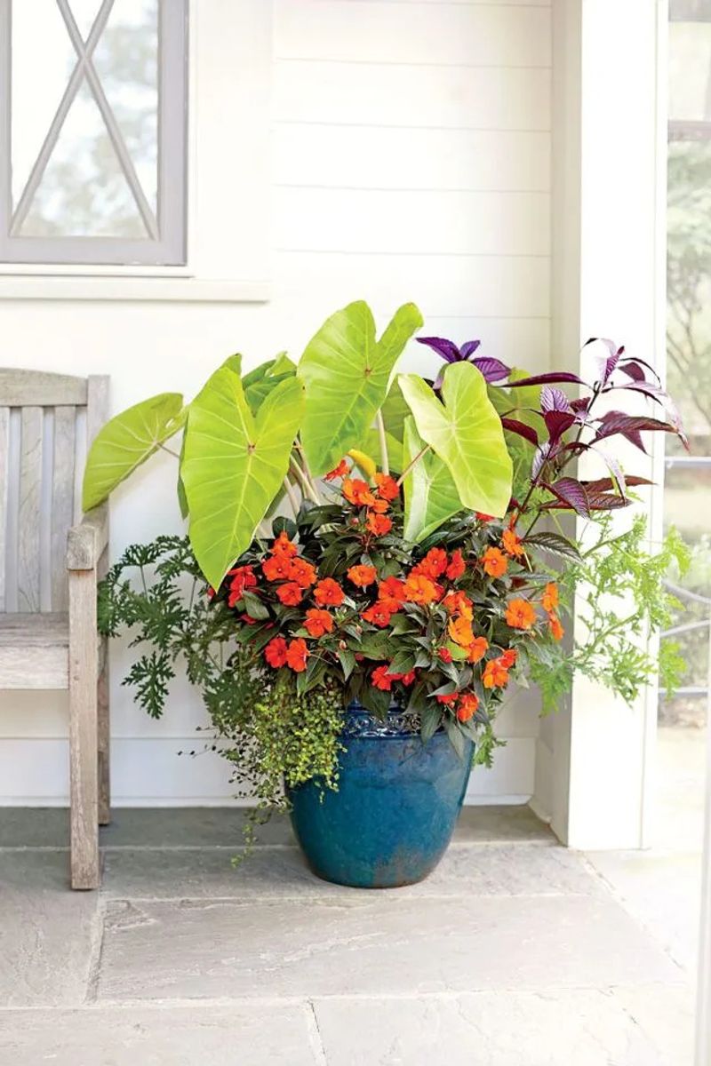 Protect container roots from harsh exposure