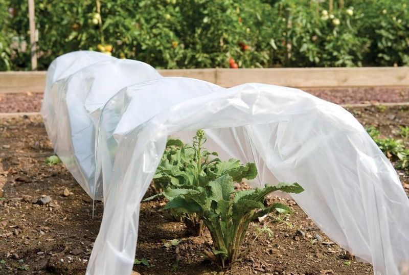 Protect from Extreme Cold if Necessary Protect from Extreme Cold if Necessary