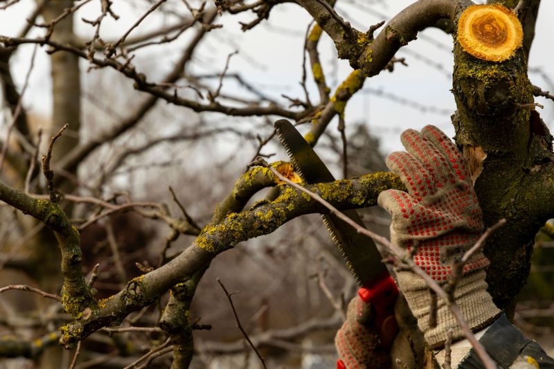 Prune Weak Branches Before They Snap Prune Weak Branches Before They Snap