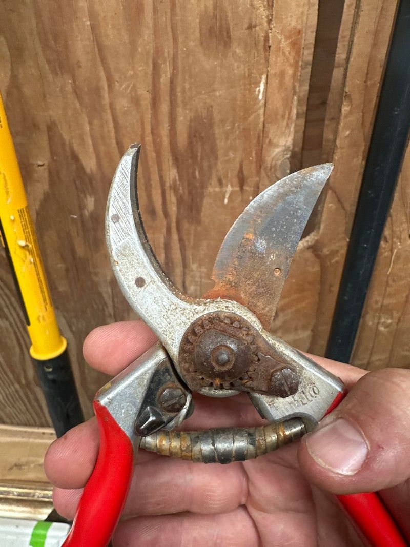 Pruning Wet Plants With Dirty Tools Pruning Wet Plants With Dirty Tools