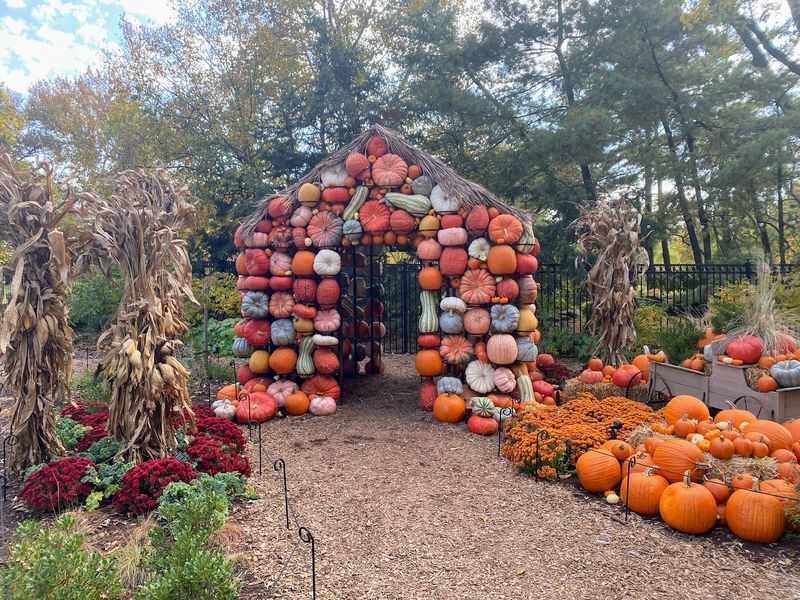 Pumpkins Aglow At Franklin Park Conservatory, Columbus Pumpkins Aglow At Franklin Park Conservatory, Columbus