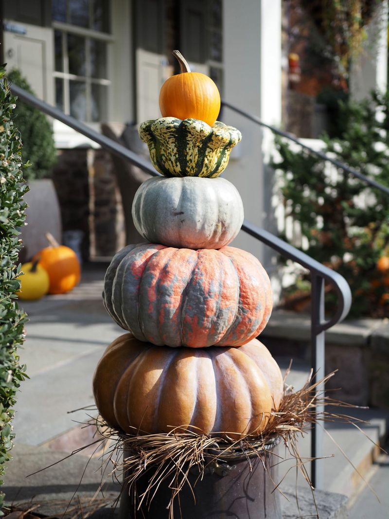 Pumpkins With A Little Protection Pumpkins With A Little Protection