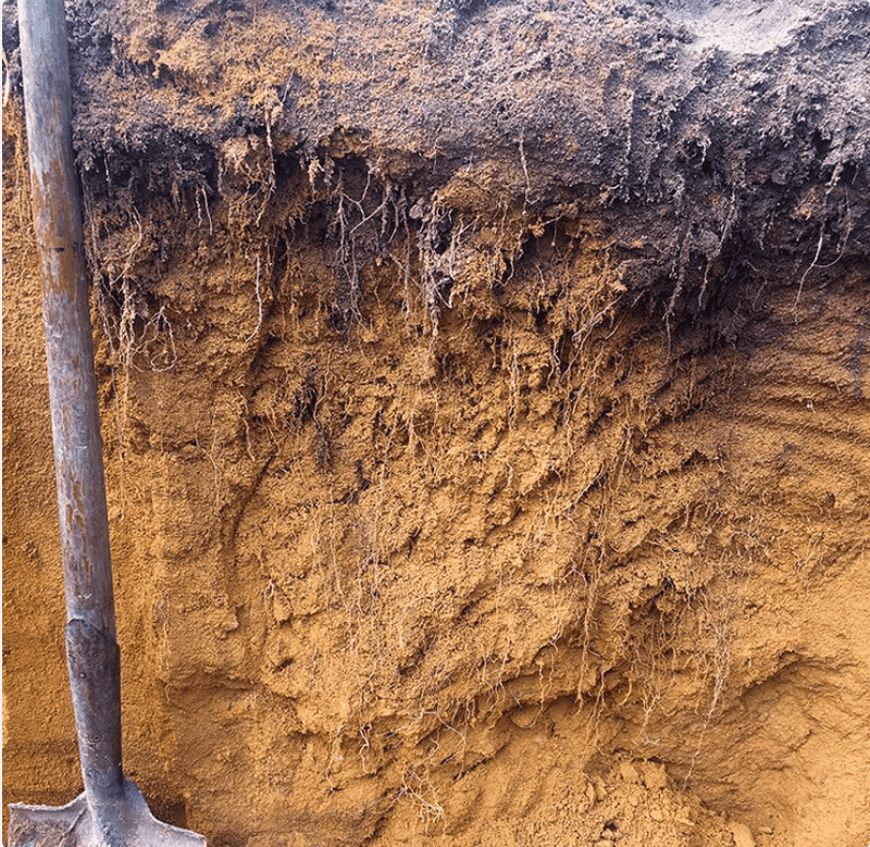 Punch Holes In Packed Clay Soil