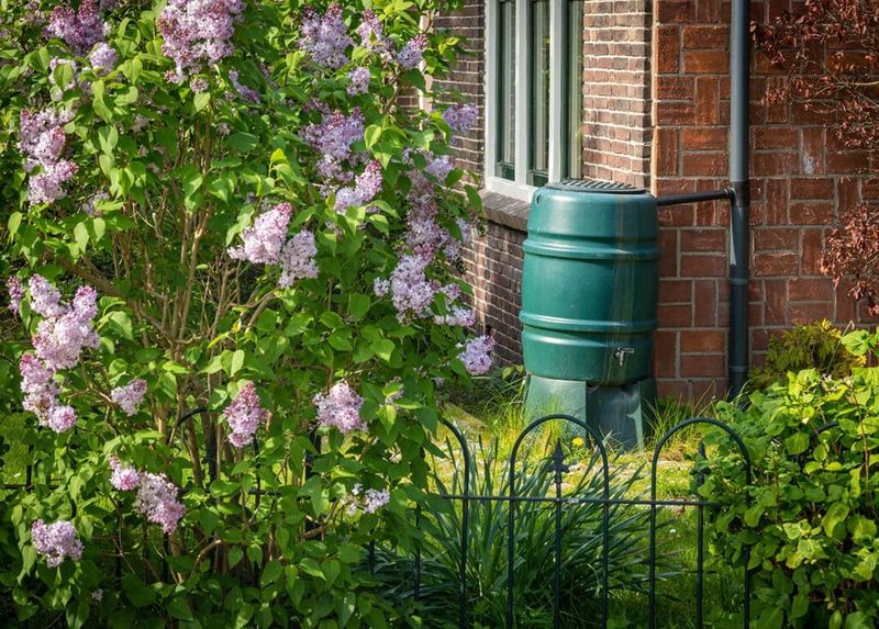 Rain Barrels Put Roof Water To Work Rain Barrels Put Roof Water To Work