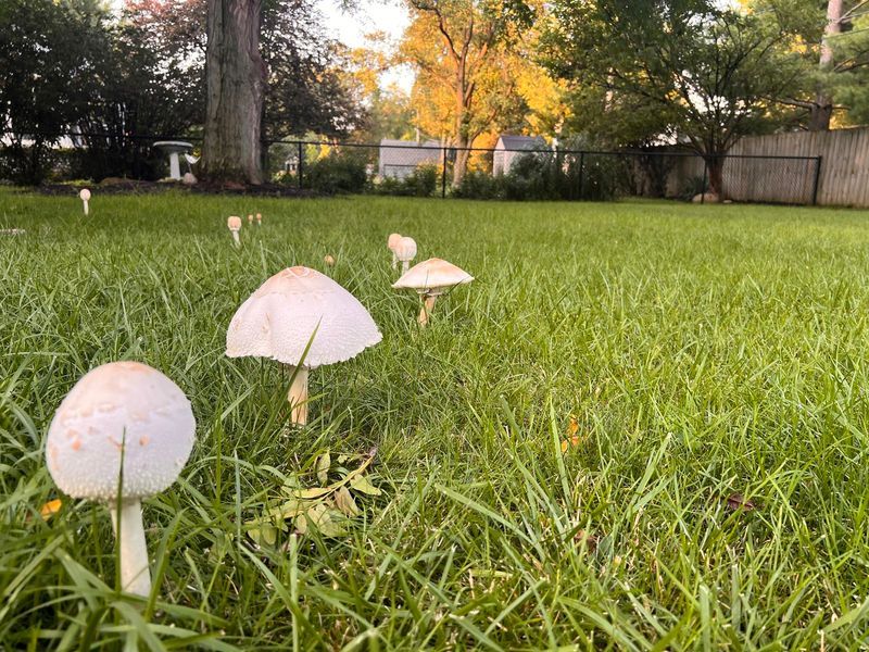 Rain Triggers Sudden Flushes Rain Triggers Sudden Flushes