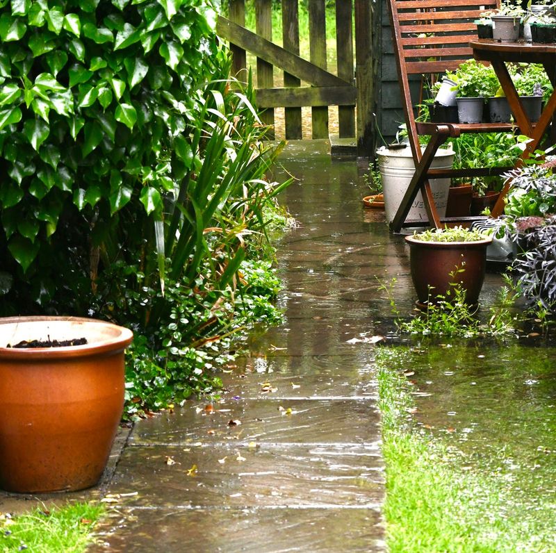 Raise Flooded Container Plants Onto Blocks Raise Flooded Container Plants Onto Blocks