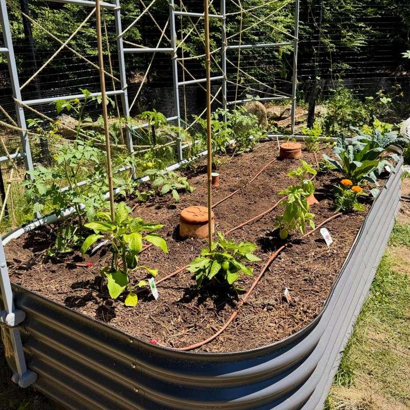 Raised Beds Dry Out Faster Than You Think