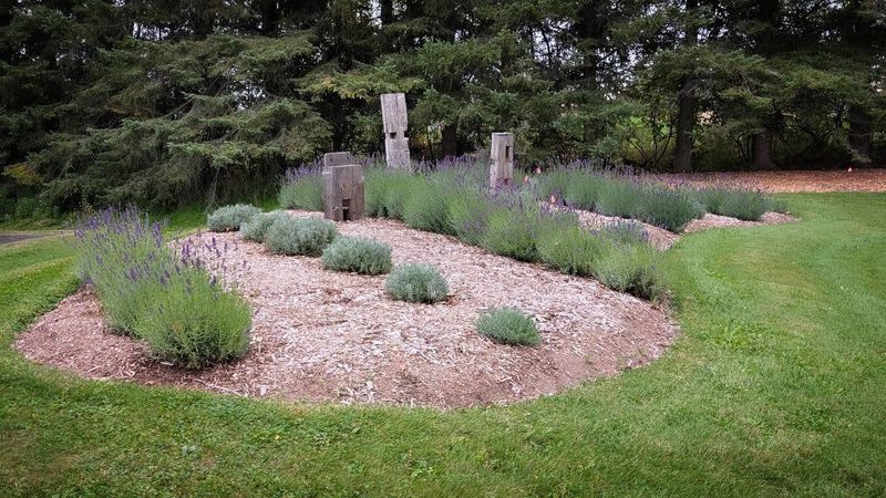 Raised Beds Improve Drainage In Virginia