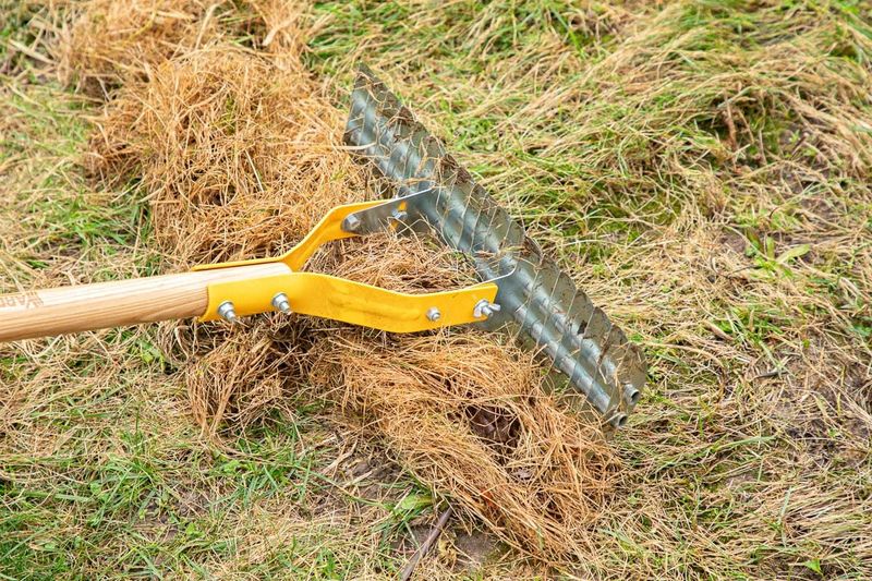Rake Away The Old Mess First Rake Away The Old Mess First
