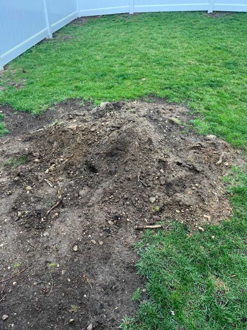 Rake Bare Soil To Loosen The Top Inch Rake Bare Soil To Loosen The Top Inch