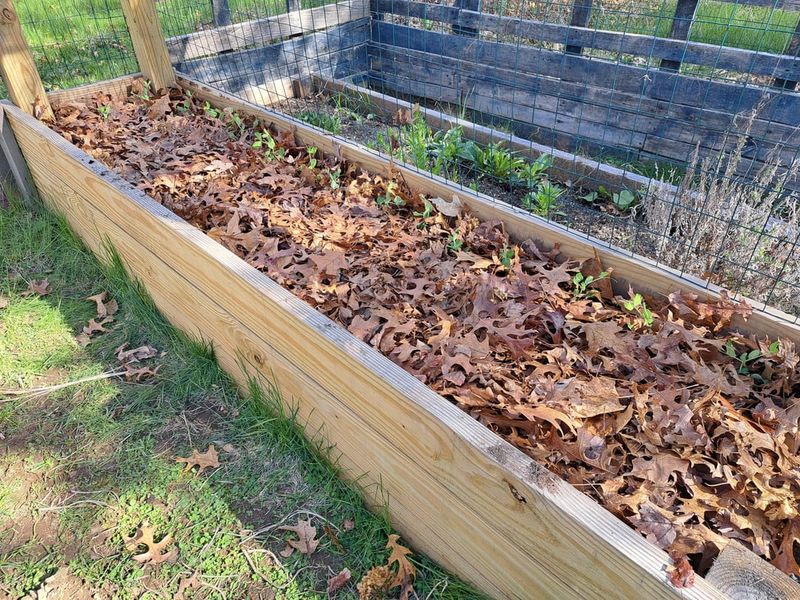 Rake The Extra Into Garden Beds As Free Mulch