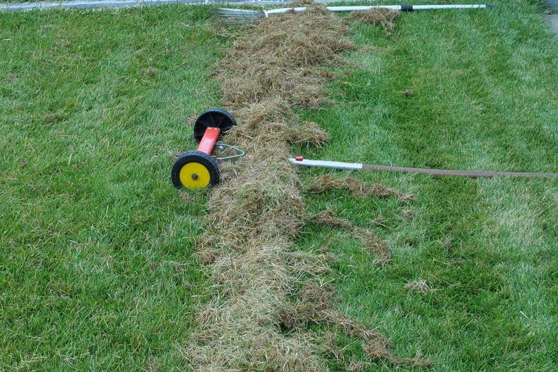 Rake Up Any Big Clumps