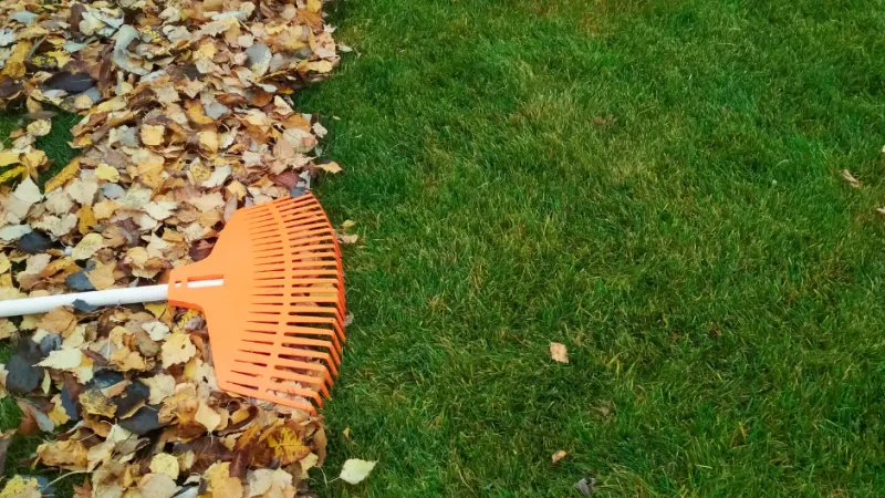 Rake Up Leaves Before They Smother Rake Up Leaves Before They Smother