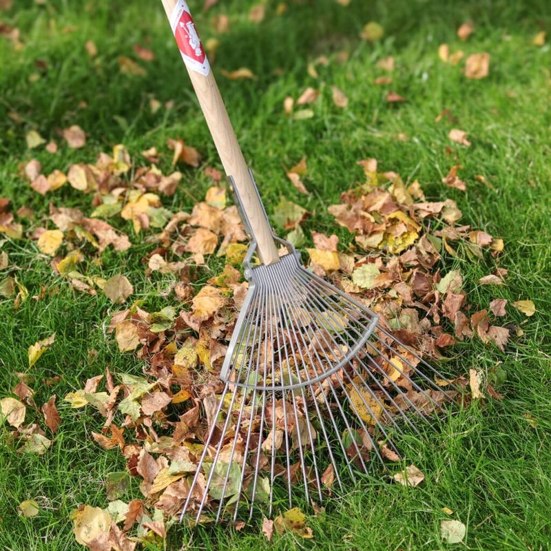 Rake With A Light Touch Across North Carolina Lawns