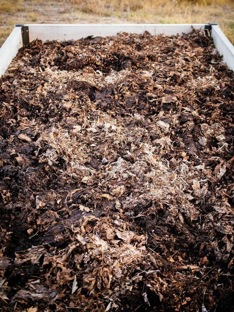 Raked Leaves Can Turn Into A Rich, Crumbly Soil Builder Raked Leaves Can Turn Into A Rich, Crumbly Soil Builder